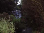 Rotorua - Hells Gate (Mud Pools)